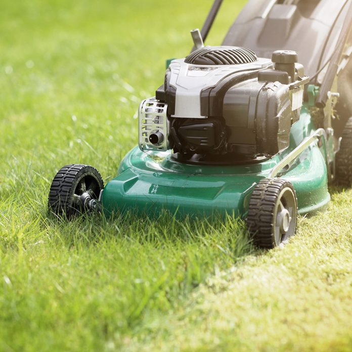 Mowing lawn short