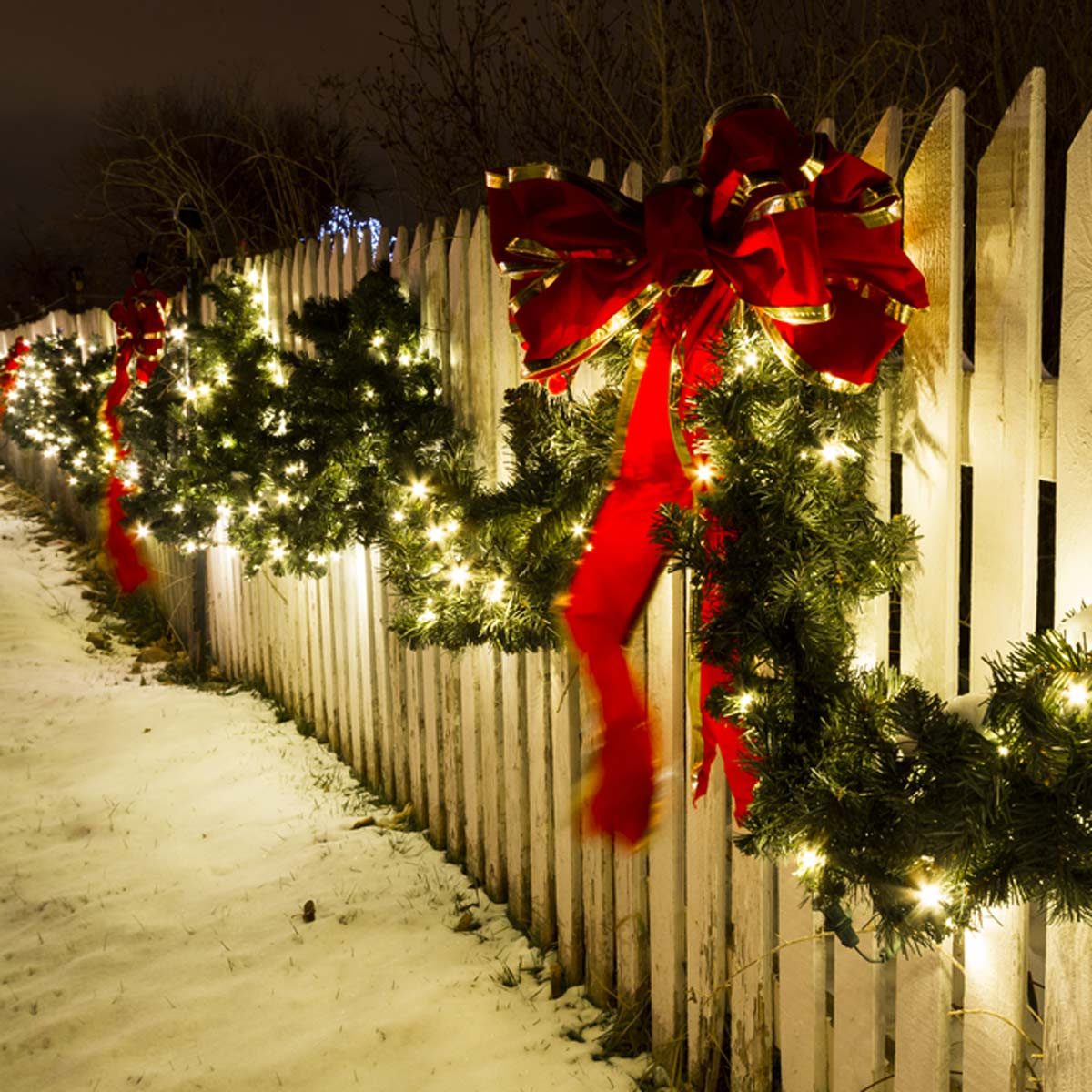 LED Christmas Lights are Durable