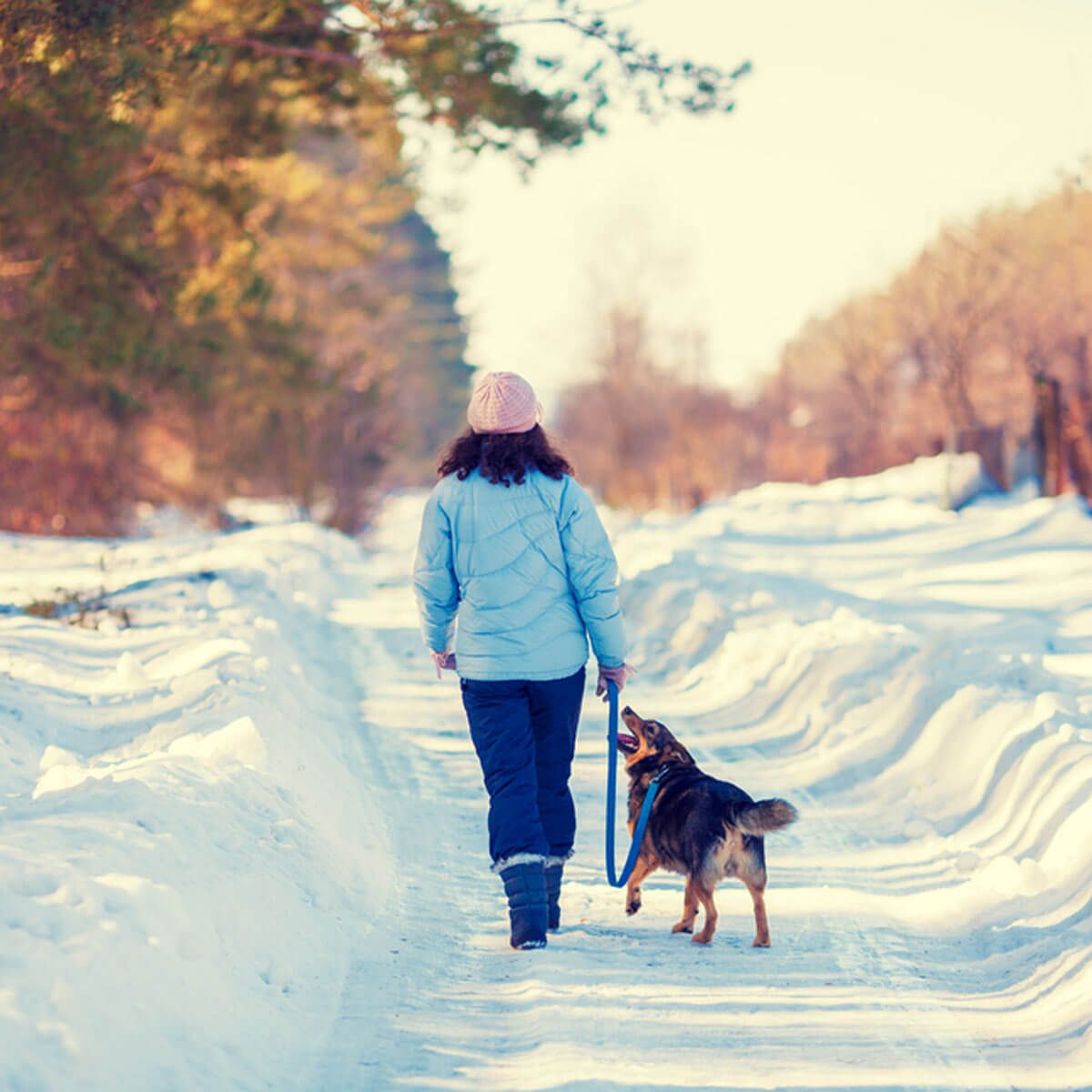 Keep Dogs on Leash