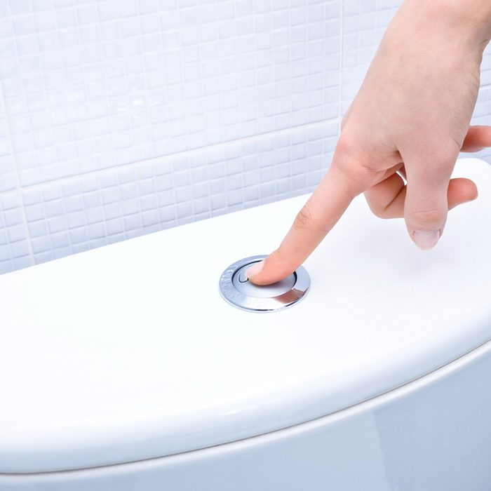 flush toilet