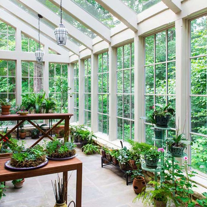 garden