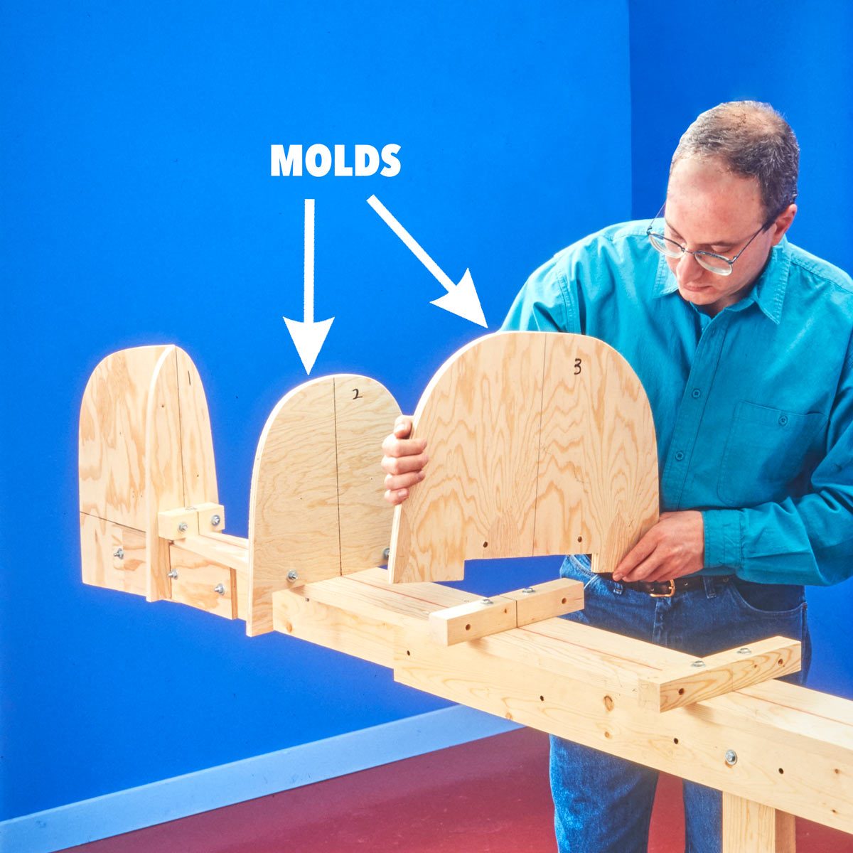 MOLDS