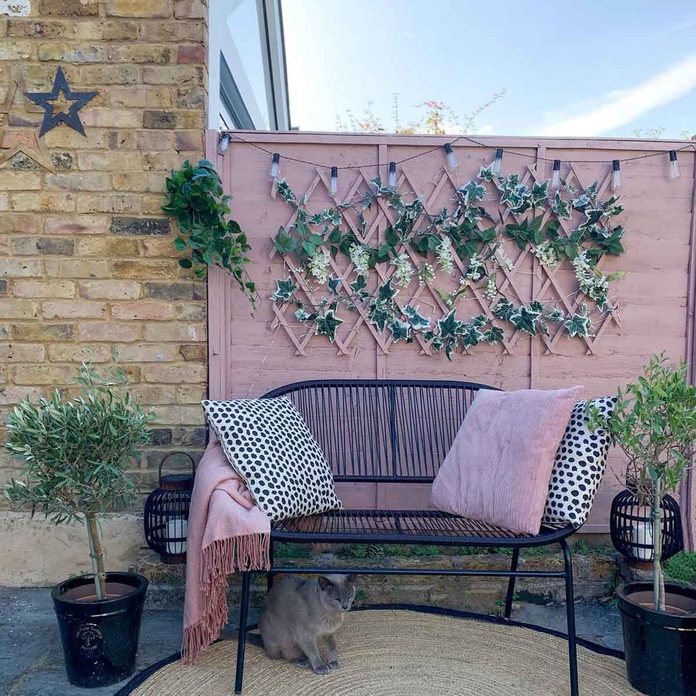 Pink Fence