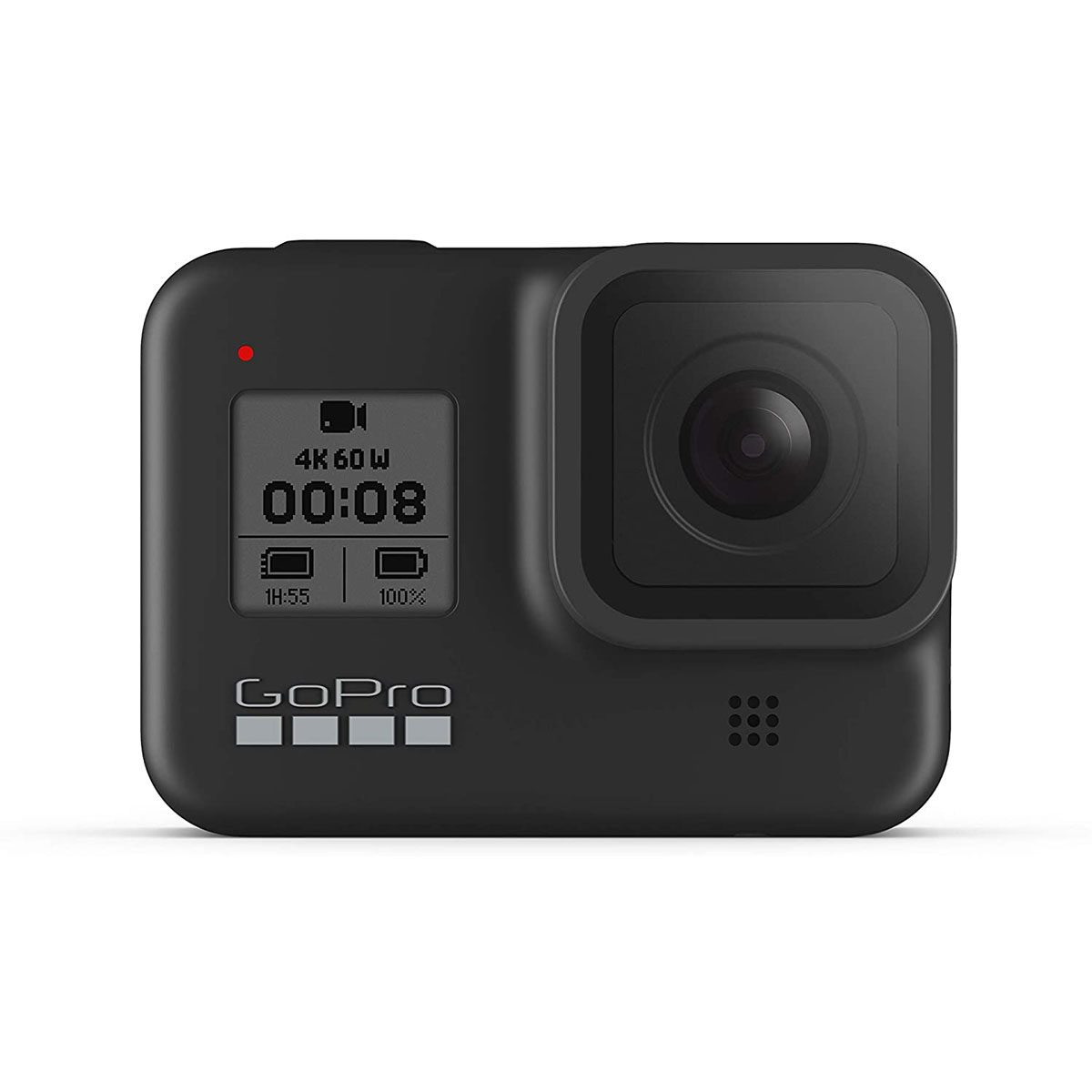 Bird Camera