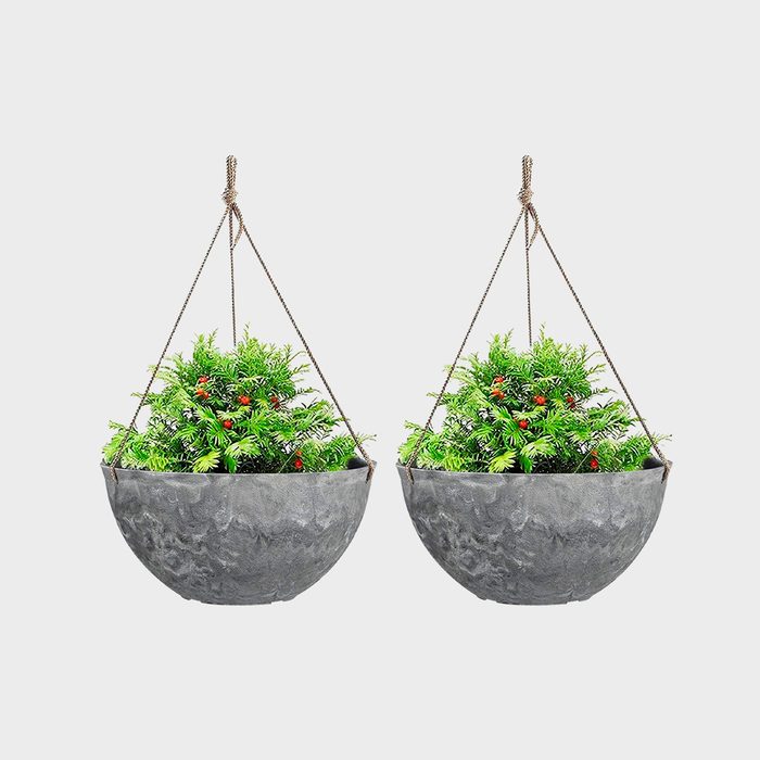 Two hanging planters contain vibrant green plants with red berries, suspended evenly by ropes against a plain white background.