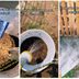 Chaos Gardening Is Blowing Up on the Internet—This Is What It Means
