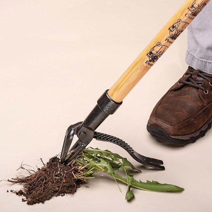 Grampa's Weeder