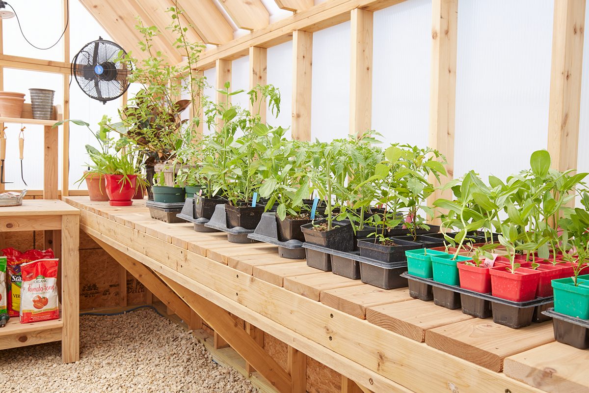 Amazing Greenhouse Shelving Buy and DIY Ideas for Organized Plant Storage